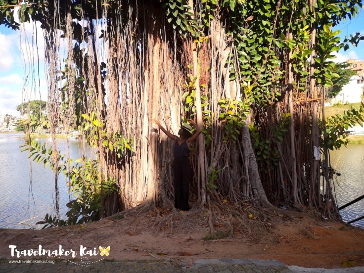 travelmakerkai | salvador2